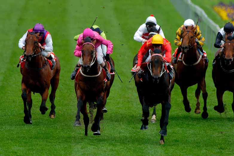 York Sky Bet Ebor Festival